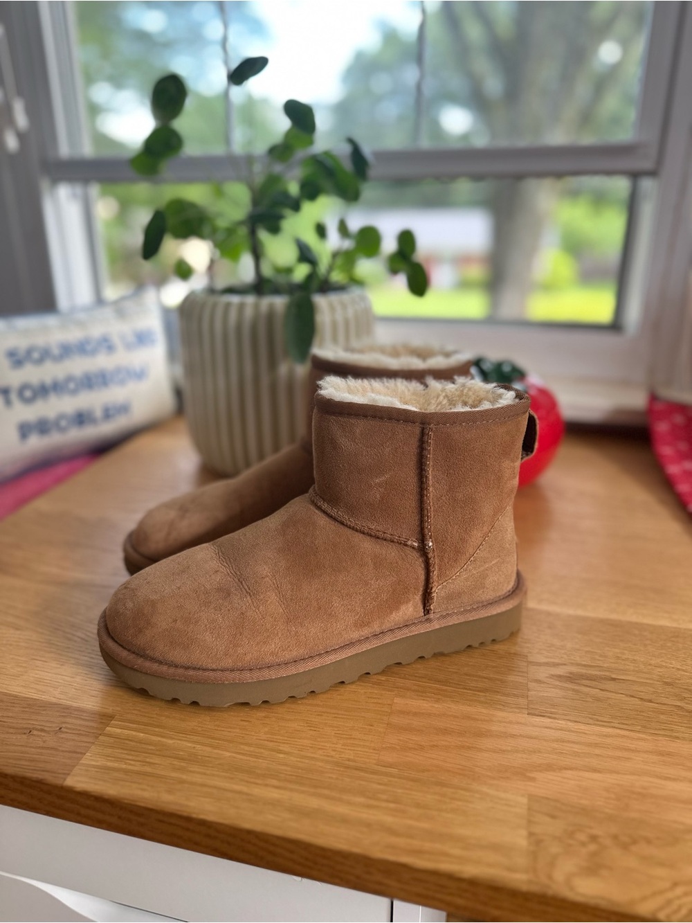 UGG Chestnut Classic Mini Women’s 8